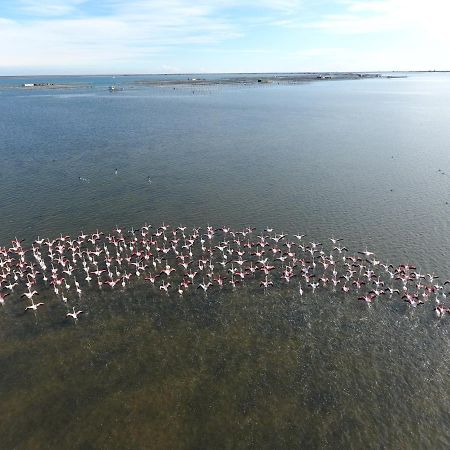 L'Hortet Del Iaio Camarles Buitenkant foto